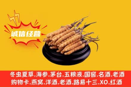 长沙天心区回收冬虫夏草
